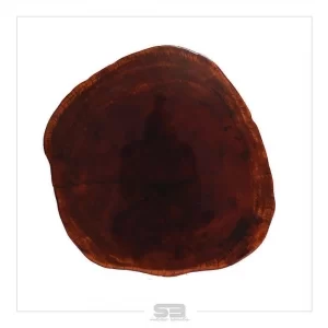 Mesa Resinada de Centro/ Cabeceira CARDIFF - Madeira Maciça e Pés de ferro Diâmetro 58 CM   