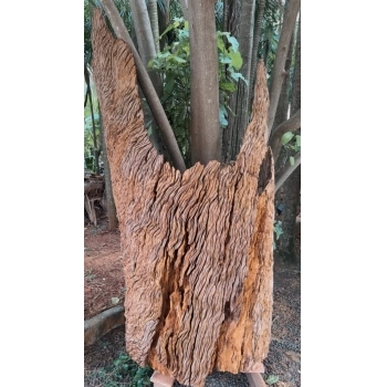 TRONCO RÚSTICO PEÇA EXCLUSIVA DE MADEIRA NATURAL PROVENIENTE DE DEMOLIÇÃO PEROBA ROSA