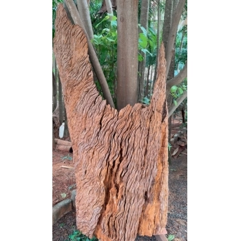 TRONCO RÚSTICO PEÇA EXCLUSIVA DE MADEIRA NATURAL PROVENIENTE DE DEMOLIÇÃO PEROBA ROSA